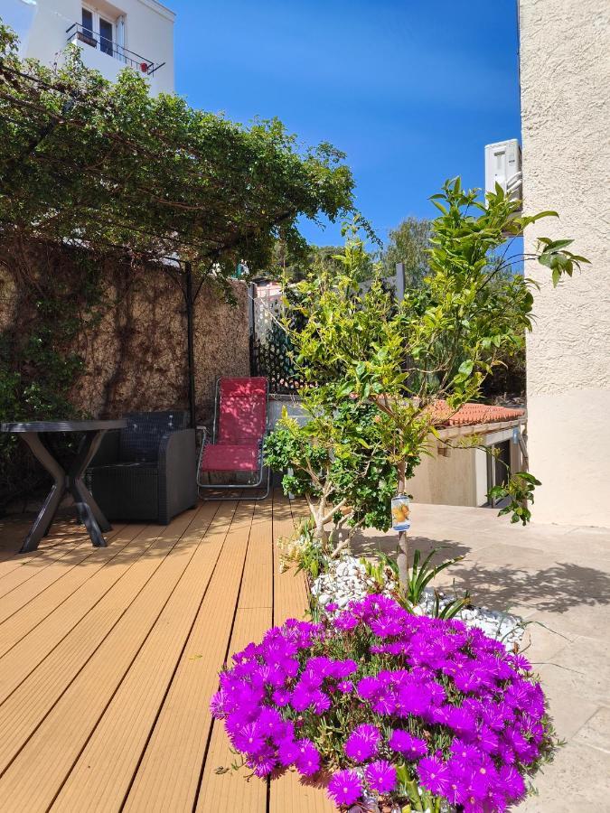 Petite Etoile De Mer - Studio Hyper Equipe A 150M D'Une Plage De Sable Fin Grande Terrasse Presqu'Ile De Charme Saint-Mandrier-sur-Mer Zewnętrze zdjęcie